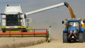 ФАО вновь ожидает рекордного мирового производства зерновых